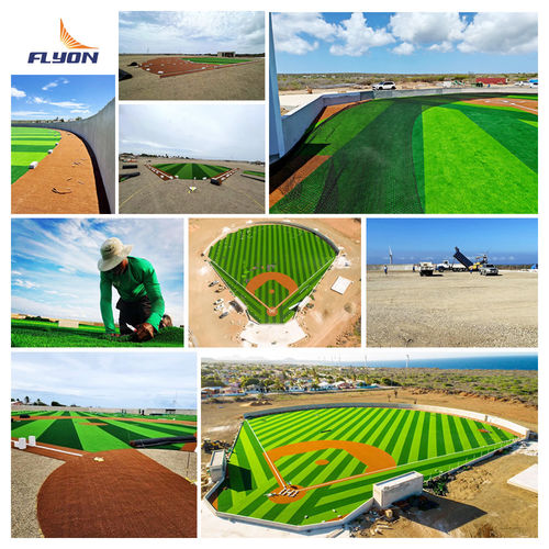 Latest company Solutions about 2023 Curacao Baseball Field Proyek rumput buatan
