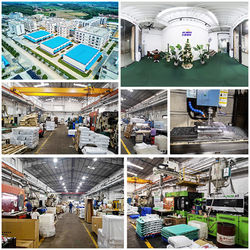 Cina Shenzhen Flyon Sports  Co., Ltd. Profil Perusahaan