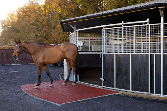 Harga yang pantas Disesuaikan Anti Slip Karet Lantai Mat Sampel Gratis Untuk Perlindungan Permukaan on line