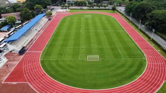 Harga yang pantas Jalur lari atletik karet perawatan rendah untuk pusat kebugaran on line