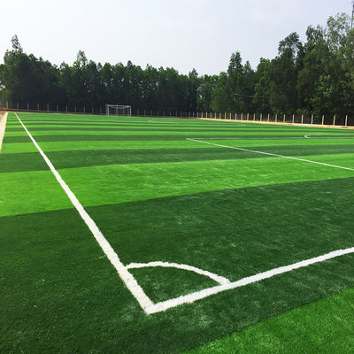 Harga yang pantas Lapangan Sepak Bola Buatan Sintetis Rumput Palsu Bahan PE PP Untuk Lapangan Sepak Bola on line