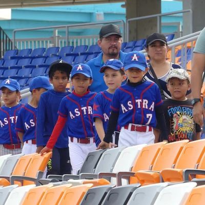 HDPE Plastic Stadium Seating Chair dengan Anti-Aging Anti-UV dan Fireproof Features untuk Stadion dan Arena