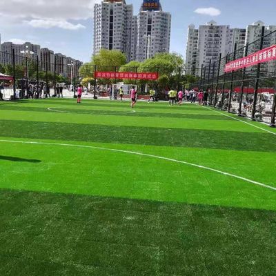 Bahan PE PP Rumput Buatan Sintetis Untuk Pelatihan Sekolah Sepak Bola