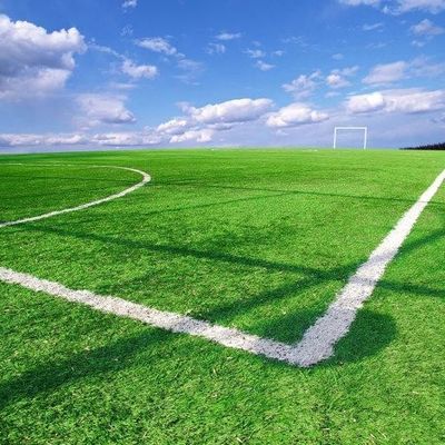 Harga yang pantas Lapangan Sepak Bola Rumput Buatan Sintetis Anti UV Untuk Dekorasi Lansekap OEM ODM on line
