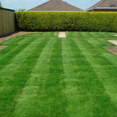 Harga yang pantas Interlocking Turf Rumput Buatan Sintetis 35mm Tumpukan Untuk Halaman Hotel on line
