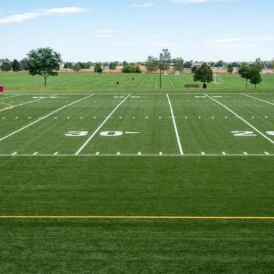 Harga yang pantas 25m × 4m Per Gulungan Rumput Buatan Sepak Bola, Rumput Sintetis Lapangan Sepak Bola Hijau Tua on line