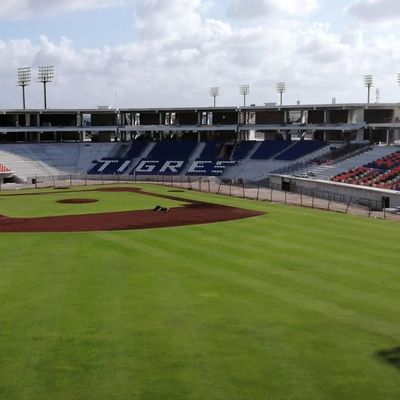 HDPE Bahan Stadion Sports Seats 5 Tahun - W 430 Mm * D 600 Mm * H 835 Mm