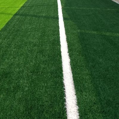 PE PP Rumput buatan Polyethylene dan Polypropylene Benang 30 mm Tinggi Tumpukan Rumput