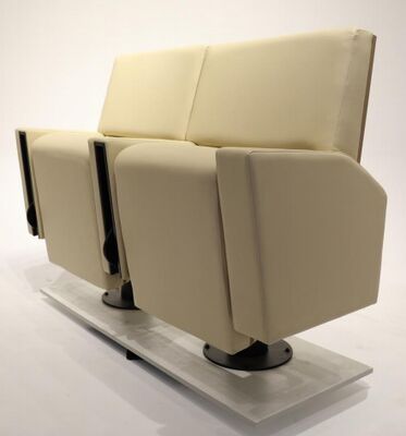 Harga yang pantas Kursi Teater Rangka Besi Tugas Berat FY962 Dengan Kursi Tip Up Pegas Ganda Dan Tempat Cangkir Lipat on line