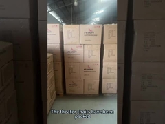 OEM/ODM Solusi Duduk Teater Nyaman untuk Acara Indoor